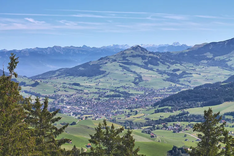 Blick auf das Dorf Appenzell im Tal zwischen grünen Hügeln, dahinter Berge