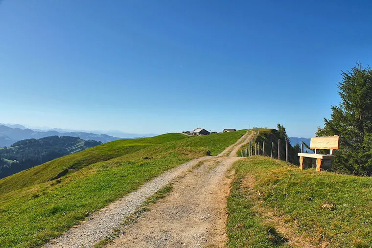 Kiesweg über eine grüne Kuppe mit Holzbank, am Horizont ein Bauernhof
