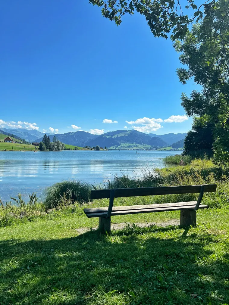 Holzbank auf einer Wiese am Ufer des Sihlsees