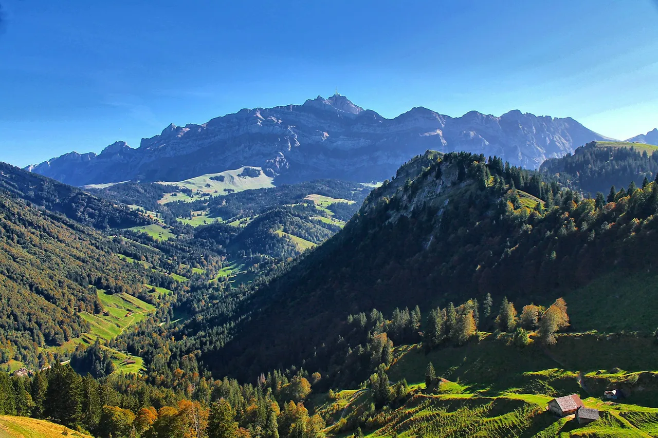 Tal bei Urnäsch mit Wald und Weiden, im Hintergrund das Alpstein-Massiv