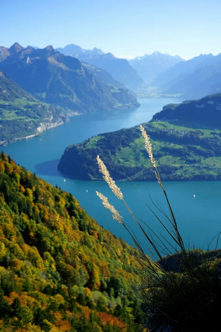 Blick von der Rigi Hochflue auf den Vierwaldstättersee